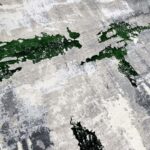 Covor Modern Rose 506 VERDE SMARALD - imagine 3